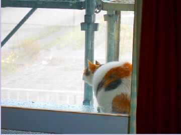 3月21日　7-49-3使用