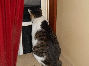 9月12日（22-8）仮