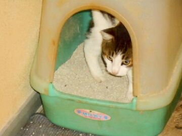 10月20日（42）仮