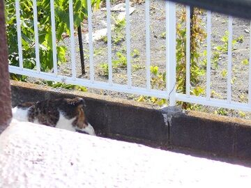 5月24日（12）仮