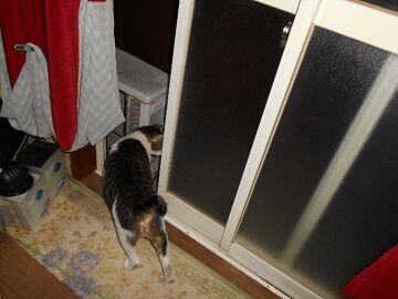 9月3日（2－4）仮