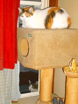 10月18日（8）仮