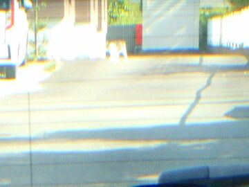 5月24日（20）仮