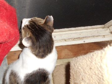 7月22日（74）仮