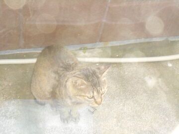 6月12日（14）仮