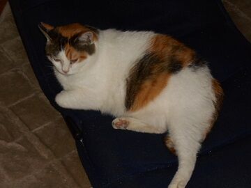 9月25日（14-7）仮