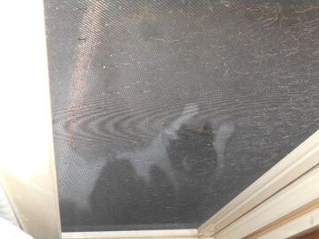 8月14日（38）仮