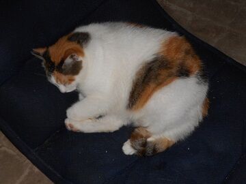 9月26日（7-5）仮