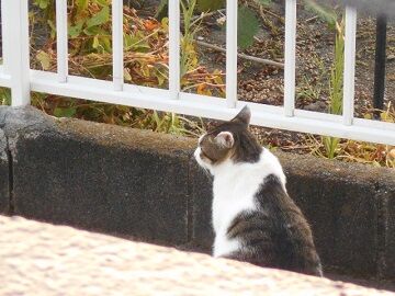 9月30日（20）仮