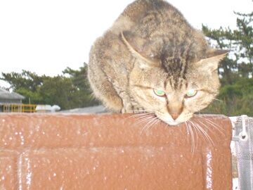 5月28日（45）仮