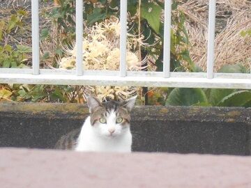 9月29日（16）仮