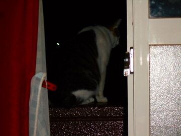 9月27日（18-9）仮