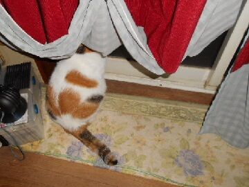 9月23日（2-2）仮