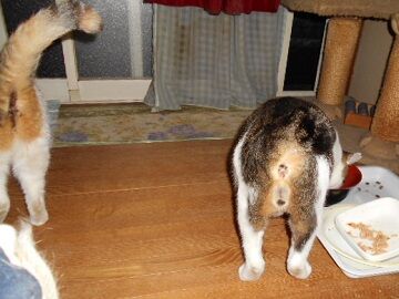 10月5日（49）仮