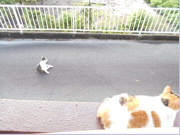 8月31日（10）仮