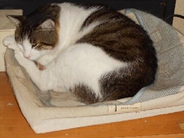 6月28日（14）仮