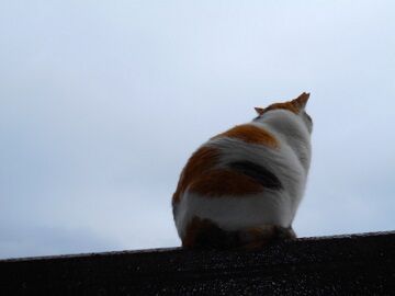 3月27日（13）仮