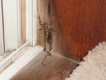 8月25日（20）仮