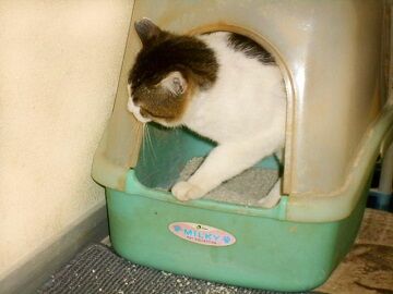 5月19日（28）仮