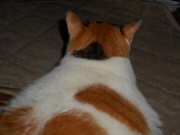 9月23日（5-7）仮