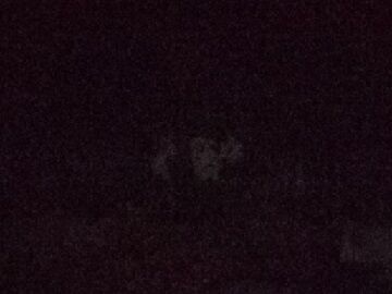 3月6日 (51) - コピー