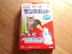 8月4日(8)使用