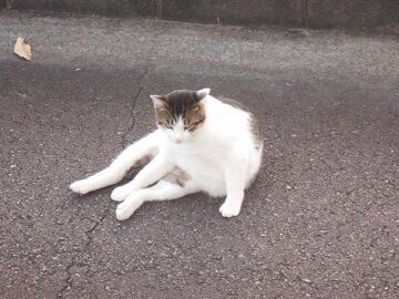 10月3日（23）仮