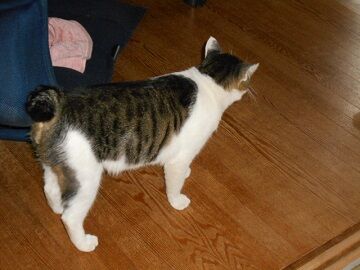 9月13日（47）仮