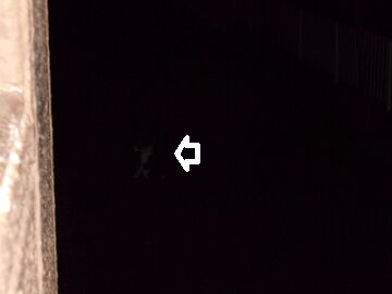 10月2日（23-2）仮