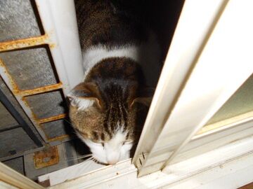 3月17日（37）仮