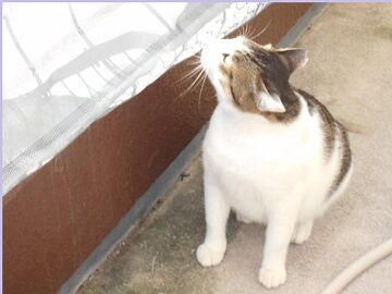 10月5日（35）仮