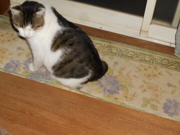 9月21日（3-1）仮