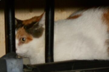 9月7日（9-8）仮