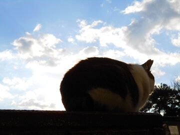 12月29日（42）仮