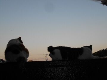 8月15日（26）仮