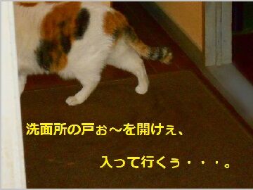 2月10日（67）仮