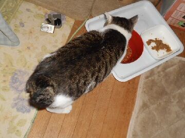 9月9日（20-2）仮