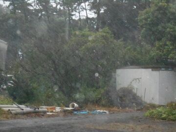 10月12日（26）仮