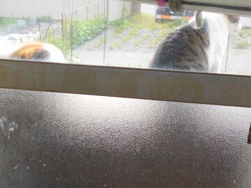 5月26日（27）仮