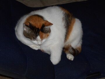 9月27日（23-1）仮