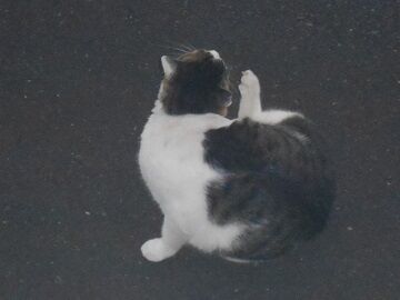 9月15日（16）仮