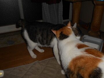 9月16日（21-3）仮