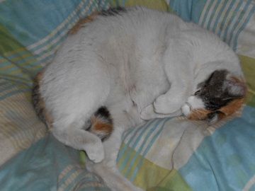 3月4日(23)