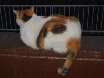 8月22日（40）仮