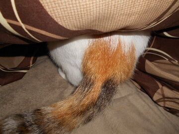 10月1日（19-4）仮