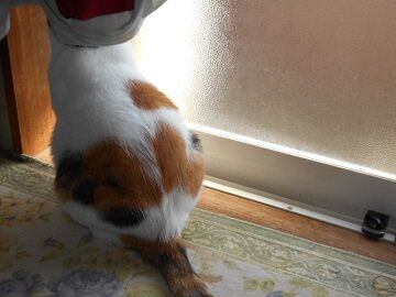 9月30日（10-2）仮