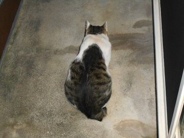 9月16日（5-6）仮