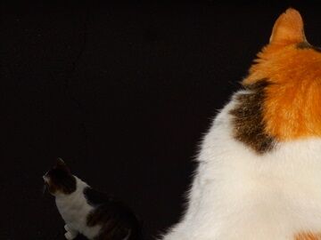 5月10日（53）仮