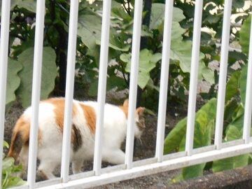 6月29日（89）仮