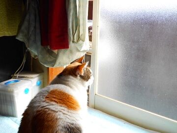 11月13日（9）仮